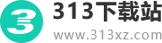 313下载站
